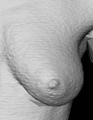 female breasts