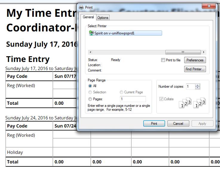 Information Tabs Printing the Time Sheet You can print the information from all of the tabs in your Time Entry
