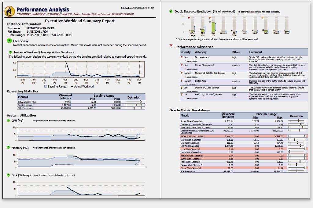 Performance Reporting Executive Summary Report The Executive Summary is a one-click report designed to deliver the critical information displayed in the