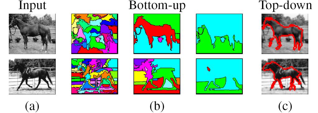 Major processes for segmentation Bottom-up: group tokens with similar features Top-down: