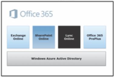 Page 16 of 41 Cloud Office 365 was designed for the cloud as an on-demand service that is always up-to-date.
