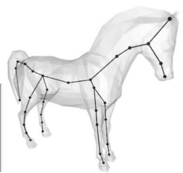 Figure 5: Splitting of a skeletal graph edge. Figure 6: A skeleton of the horse voxels.