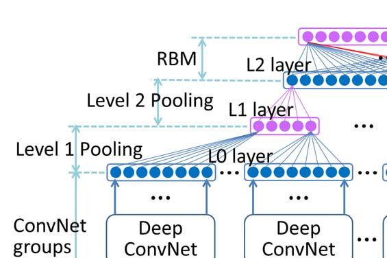 Figure 2: Architecture of the hybrid ConvNet-RBM model. Neuron (or feature) number is marked beside each layer. Figure 4: Twelve face regions used in our network.