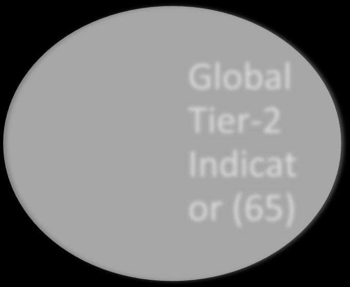 National Indicators vis-à-vis Global Indicators National Indicator - 302 55 28