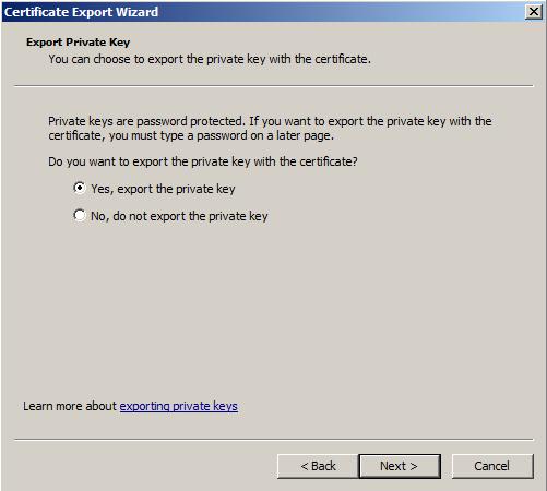 11. Select the Yes, export the private key option, and then click