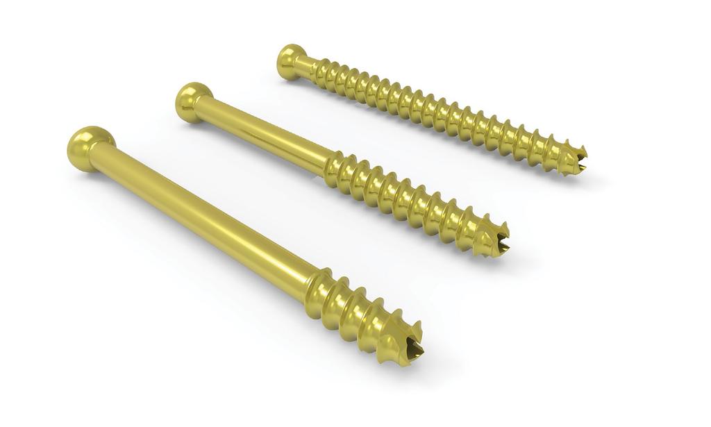 System Features Wide Range of Screw Lengths Provided to address a wide variety of fracture patterns.