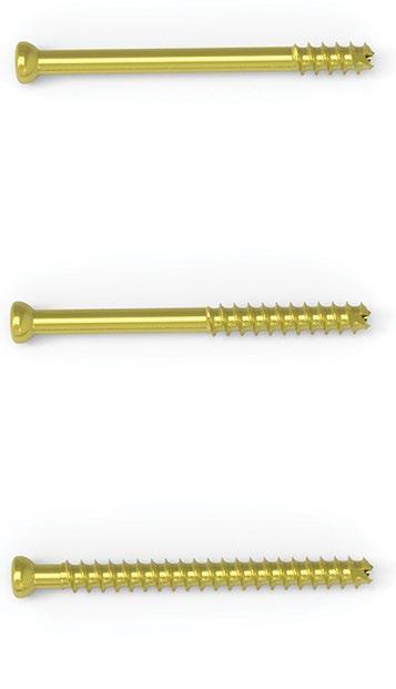 head Designed to reduce possibility of soft tissue irritation in comparison to standard screw heads Reverse cutting flutes Designed to assist in removal of partially threaded screws Partially