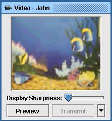 Chapter 10 Video Broadcast The View Pane will display what it is being transmitted Click to display additional controls (long form of the Video window) 2.