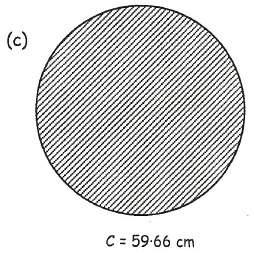 circumference and area of a