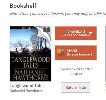 Now you choose what format you need to download the ebook in e.g. Kindle, epub etc., and you will see Confirm & Download.