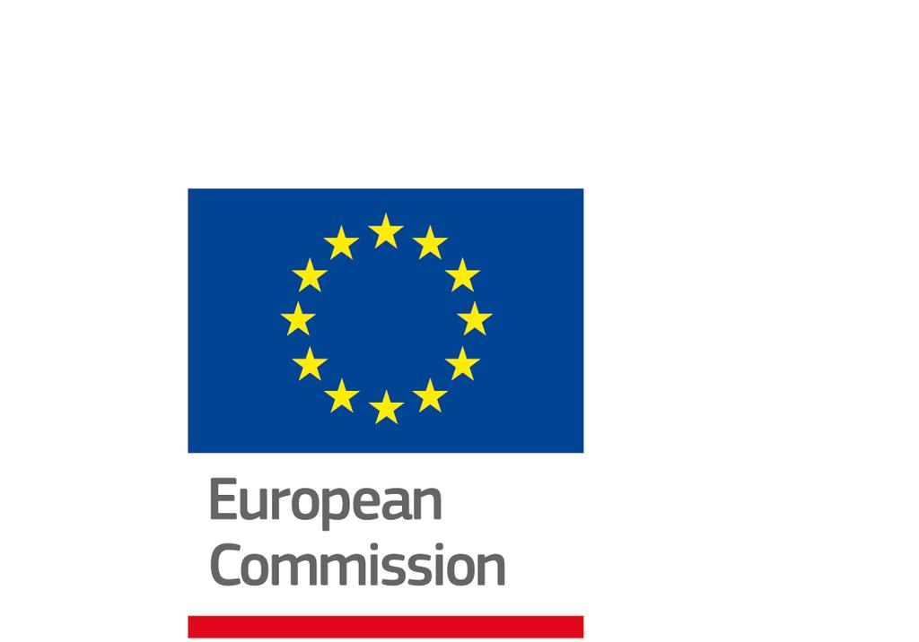 The end of roaming charges one year later Survey requested by the European Commission, Directorate-General
