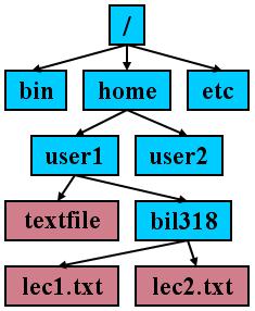 Unix Paths Separate directories by / Absolute Path start at root and follow the tree E.g., /home/user1/textfile E.g., ~user1/textfile E.