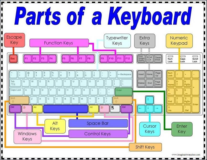 If you did not save your document, then it will be lost. 5 T h e K e y b o a r d Use the diagram below to help explain the various parts of a typical computer keyboard.