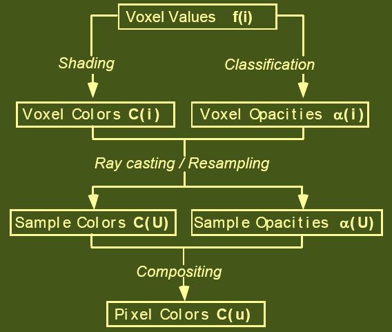 Classical Ray Casting Pipeline Marc Levoy 1988 1. C(i) andα(i) are set by a transfer function 2. Ray casting, interpolation 3. Compositing 16 / 81 1.