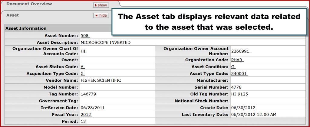 98. The Asset tab displays relevant data related to the asset that was selected.