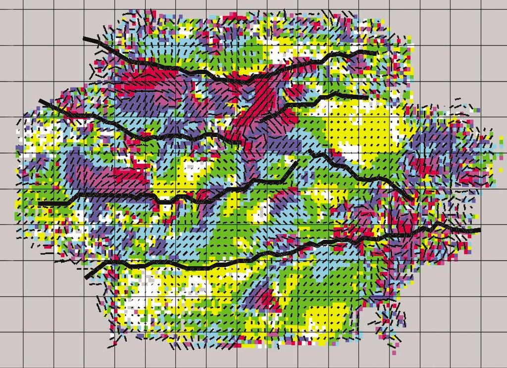 In Figure 8, the fracture information data derived from a 3-component land seismic survey is mapped.