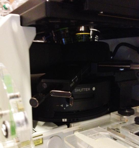 Rotate the appropriate filter cube using the manual filter turret. a. (Use the number code on the microscope.