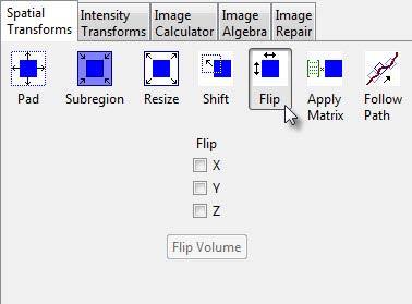 117 2. Flipping Data Select the data set to flip and open Transform.