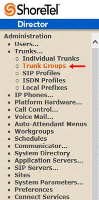SHORETEL SYSTEM SETTINGS TRUNK GROUPS ShoreTel Trunk Groups only support Static IP Addresses for Individual Trunks. In trunk planning, the following needs to be considered.
