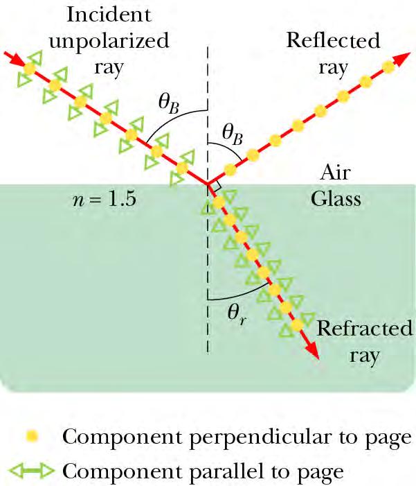 Polarization By Reflection Different polarization of light get reflected and refracted with different amplitudes ( birefringence ).