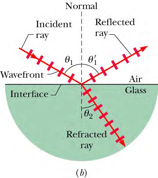 Reflection and Refraction When light finds a surface separating two media (air and water, for example), a beam