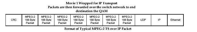 Figure 40 : Format of Typical MPEG-2 TS over IP Packet Because there are multiple clock domains in this system, buffering is used to help smooth out clocking and speed variations.