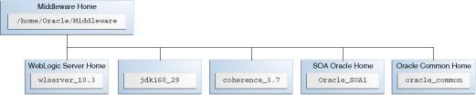3), the directory for the JDK which you can use for product installations (jdk160_29), and the Oracle Coherence directory, which is used by Oracle Service Bus for its business service result caching