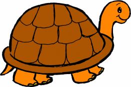 Tortoise continues to move even slow and wins the