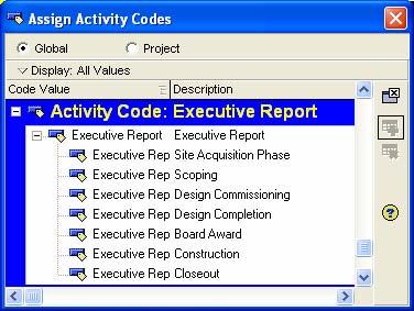 Codes Tab used to assign Activity Code values to the activities Activity Codes Activity Codes are ways to classify and categorize activities according to your organizational and project needs.