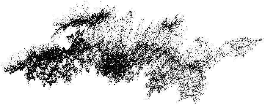 Figure 4: Example of laser scanner point cloud of a branch on a coniferous tree.
