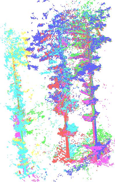 Figure 6: Point cloud from three coniferous trees and automatically reconstructed stems and outer hulls. needles, and the cylinder following could not bridge this gap.