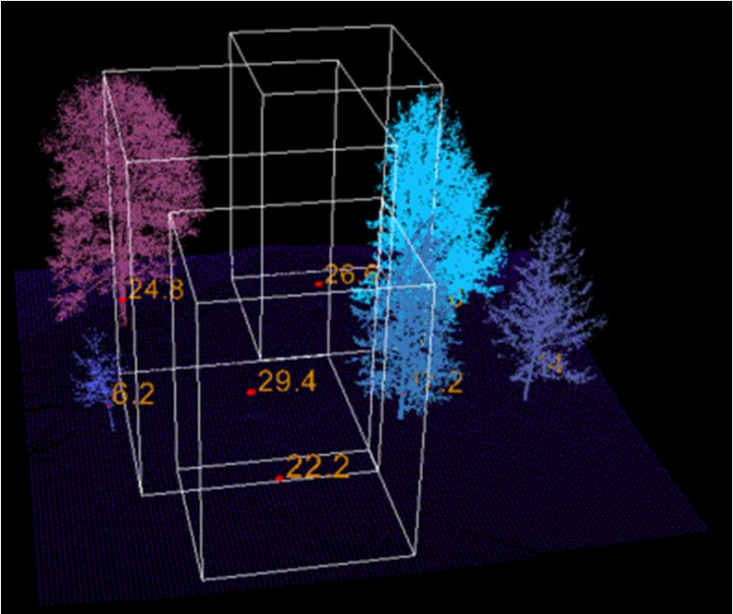 The second step is segmentation of individual trees.