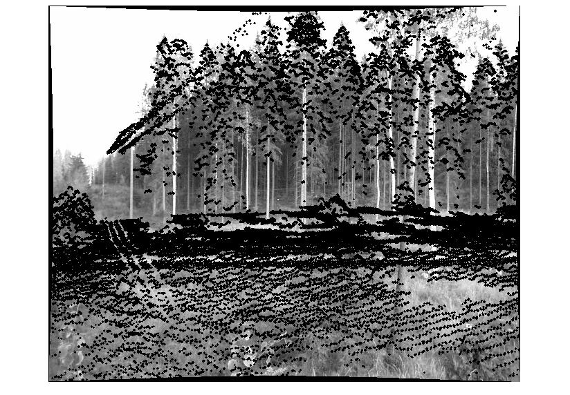In this paper, the 2-D to 3-D correspondence problem is investigated in a wooded area using a pair of calibrated terrestrial images and airborne laser scanner data.