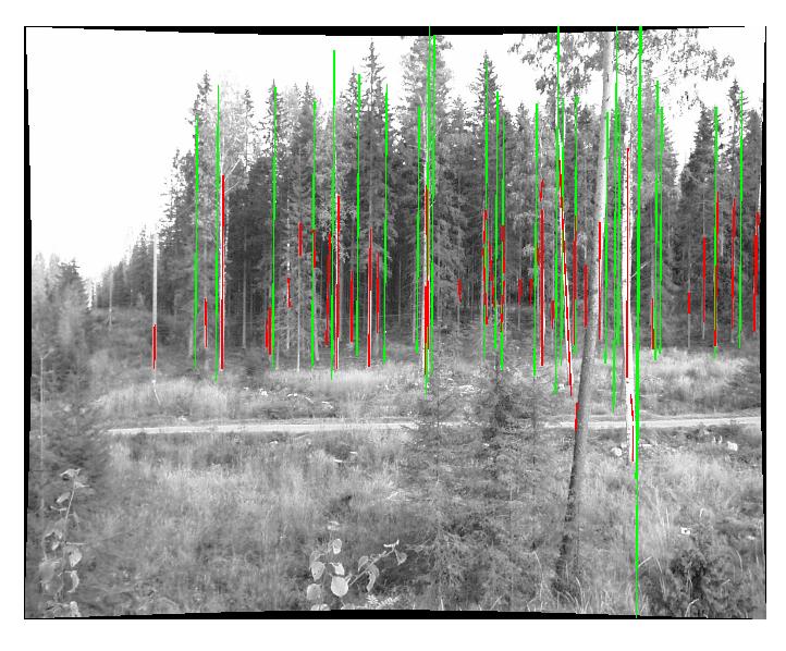 5. TEST RESULTS The methods for extraction of trunks from terrestrial images and laser scanner data and for determination of corresponding trunks were tested using the data described in Section 3.