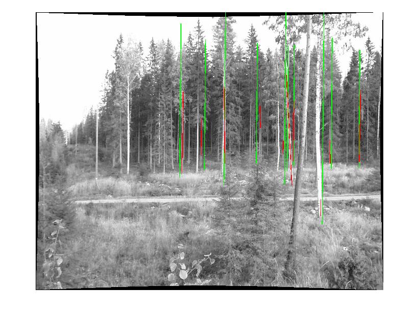 Figure 3 shows a pair of convergent terrestrial images. The corresponding left, right, and laser trunks established are shown as red and green lines, respectively.