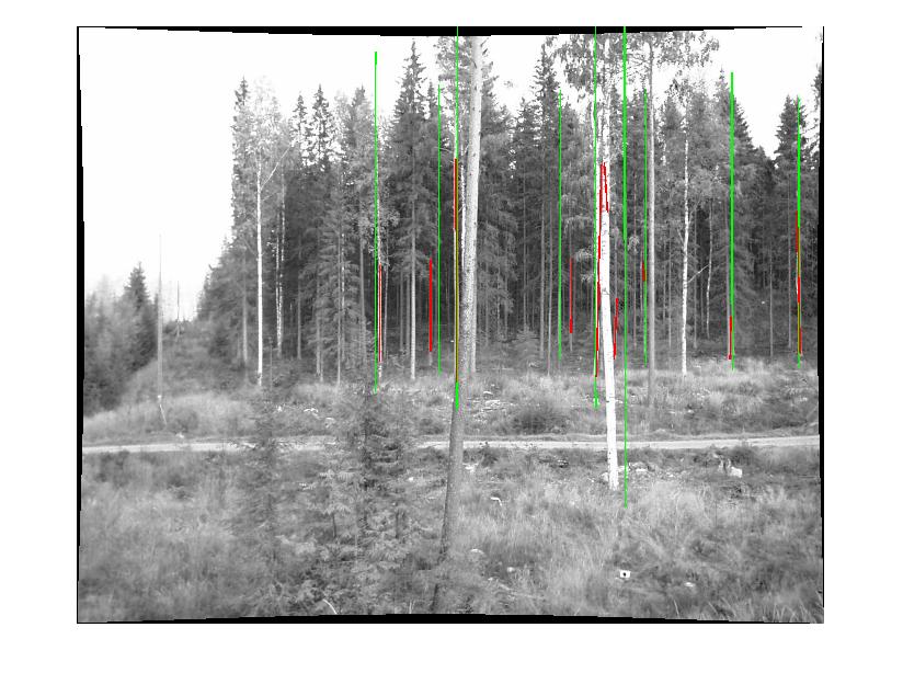 Comparing the left and right images, it may be realized that there are several trees that are in shadow of other trees in either of the images.