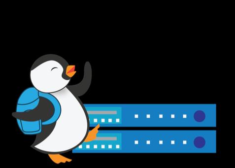NDG Linux Courses Offered to