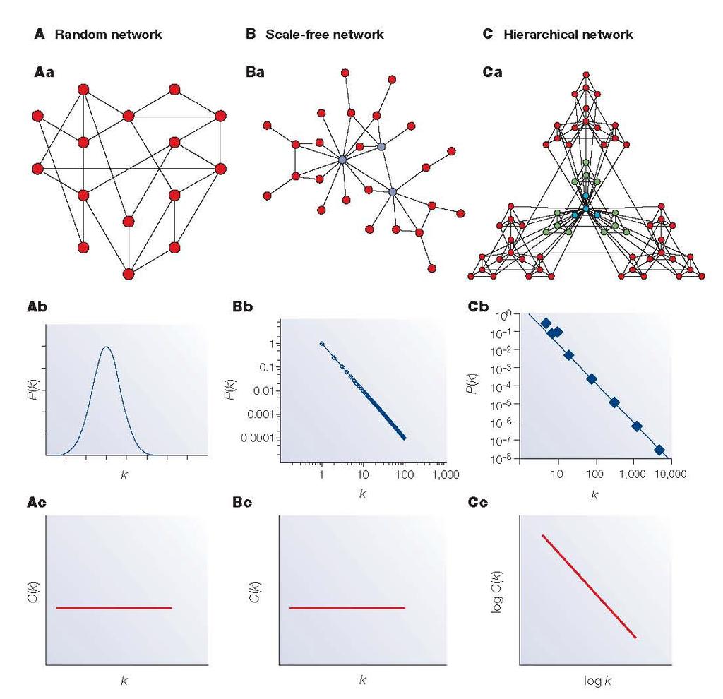 Summary: network models A hierarchical architecture implies that sparsely connected areas, with