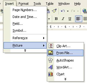 Click on the Insert drop down menu and select the Picture command. From the submenu displayed, select From File. Use the dialog box which is displayed to select the required file.
