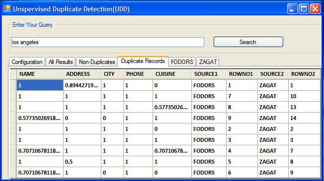 Figure 4.3: Duplicate Records tab showing the similarity vector values of duplicate records.