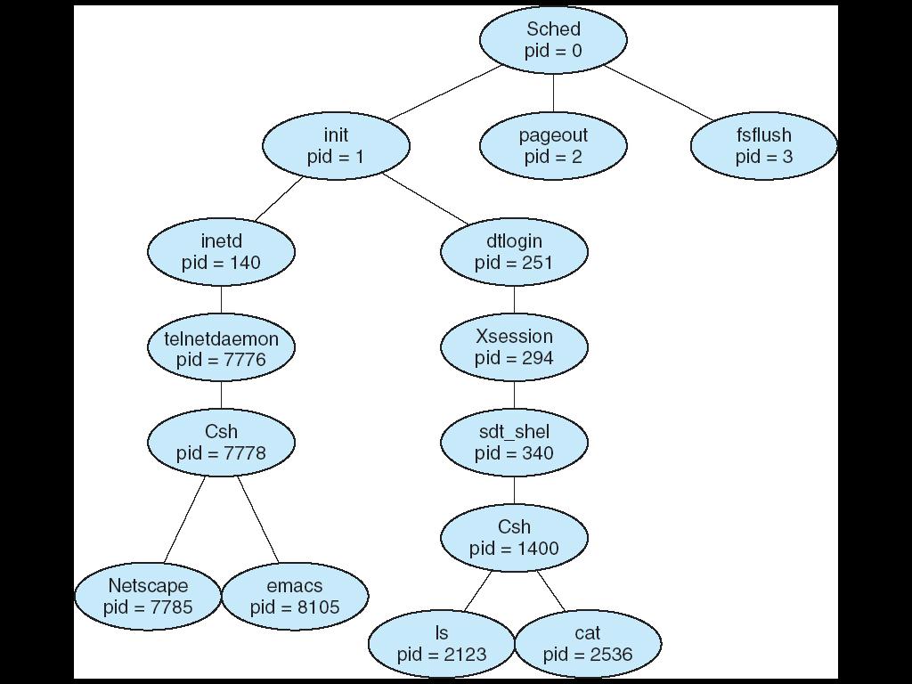 A tree of processes