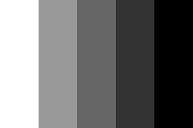 called bilevel or binary images). Grayscale images have many shades of gray in between. 2.