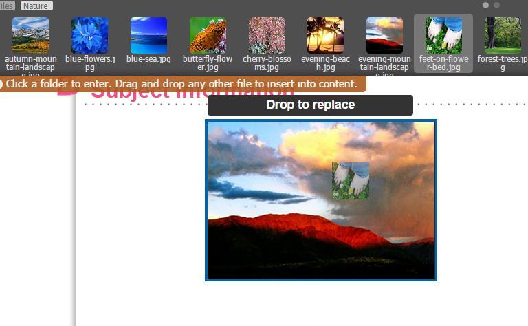 Replacing inserted images 1. To replace images that have been placed, drag and drop the image to the image that is to be replaced.