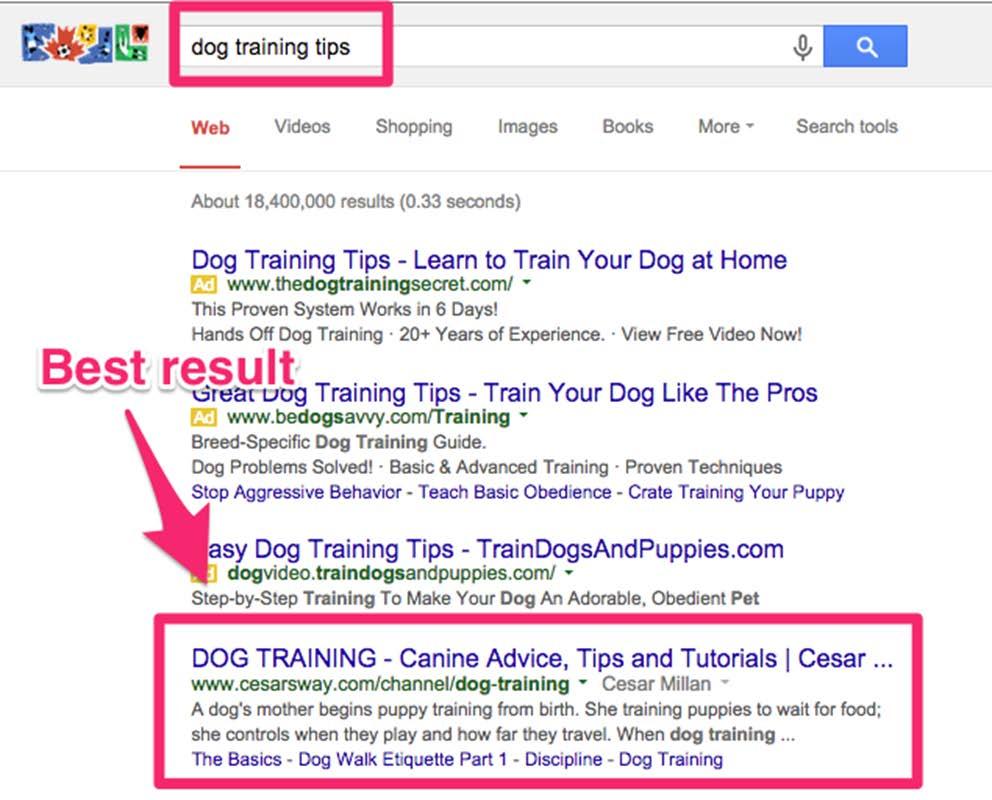So the #1 result for dog training tips is an article by renowned dog-training expert Cesar Millan, titled Dog Training. A quick look at the article shows a list of 20+ dog training tips and advice.