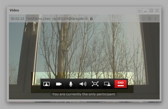 video window and a popup toolbar will