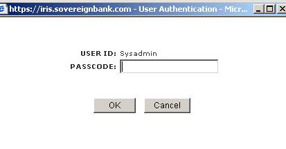 3. The User Authentication box will appear: 4. The User s IRIS User ID will automatically be populated in the USER ID field. 5.