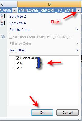 EXCEL TIPS To Filter: The columns are set to Filter. Look for the down arrow at the end of each column heading.