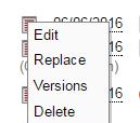 Edit= rename or change file type Replace= submit a new version of a document already uploaded to Mentor, you should replace the file NOT upload a second one Versions= see all uploaded versions