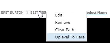 Option Remove Clear filters Clear path Uplevel to here Explanation This option removes a single filter of any type (widget,