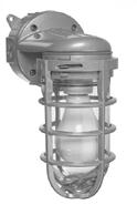 Fixtures with plastic globes mounted in a vertical position (globe pointing down only), can only use a maximum lamp size 60 watts, glass globes use a maximum of 100 watts.